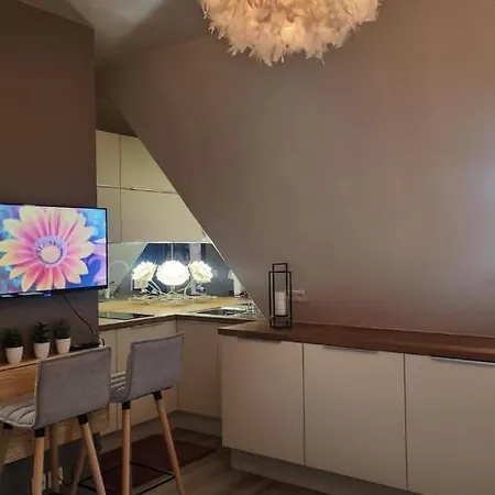Cozy 16eme - Arc De Triomphe, Champs Elysees & Trocadero شقة باريس