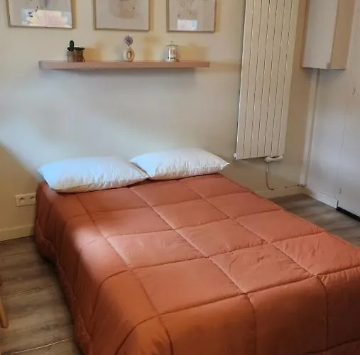 Apartamento Cozy 16eme - Arc De Triomphe, Champs Elysees & Trocadero